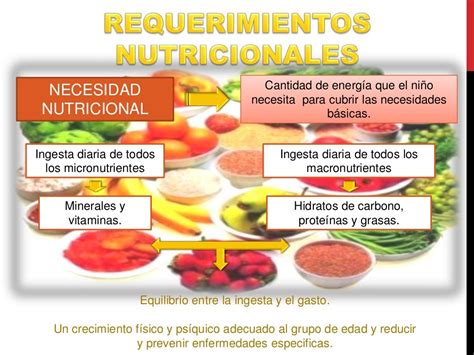 requerimientos nutricionales-1